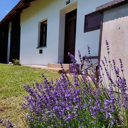 Na Zampachu Holiday home *